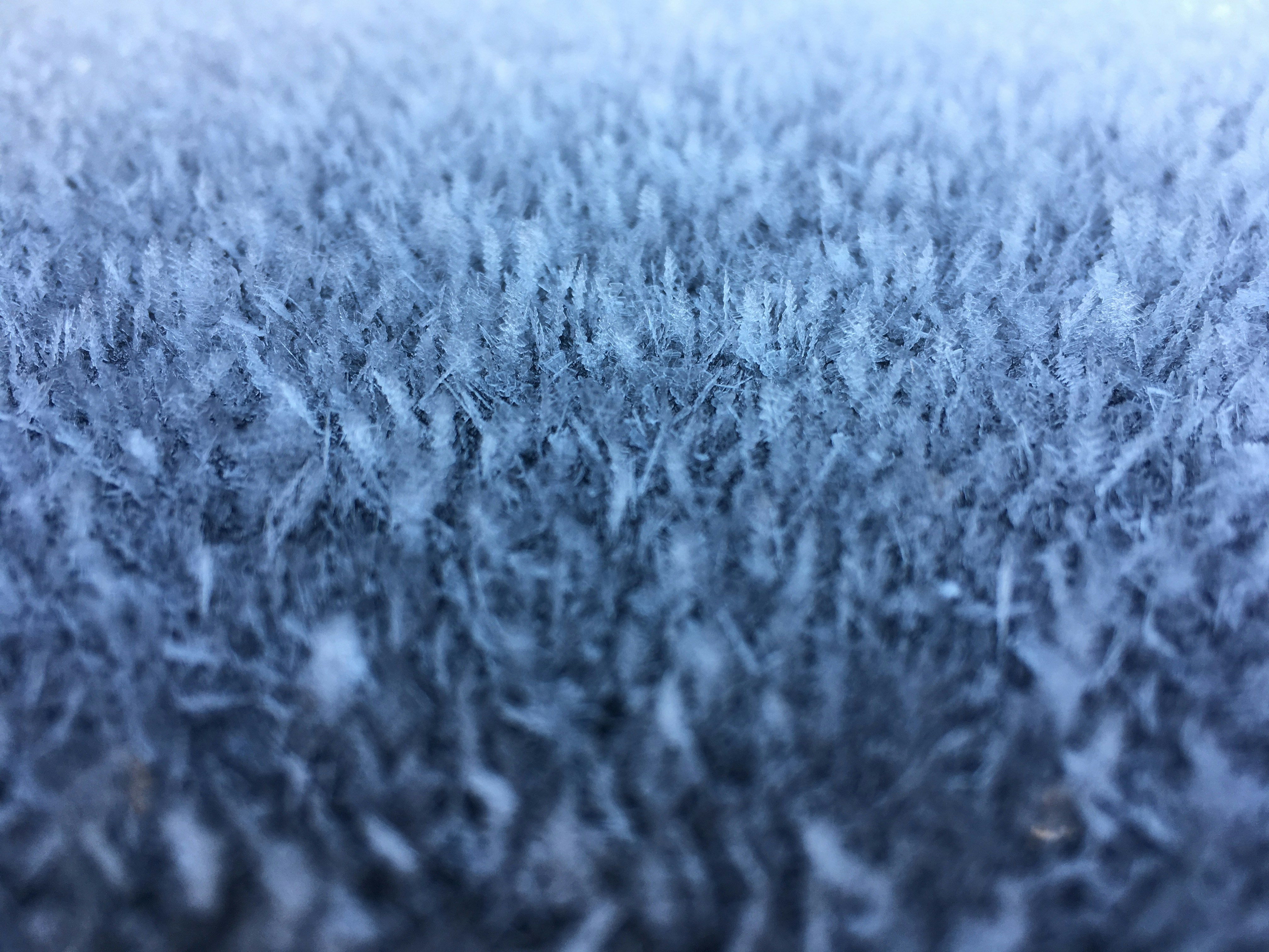 I was stepping into my car when I noticed the frost that had formed on the sunroof glass. it was like little ice crystals instead of a layer of frost which we normally receive. I just thought it looked neat and figured I’d snap a couple photos to see how they turned out.