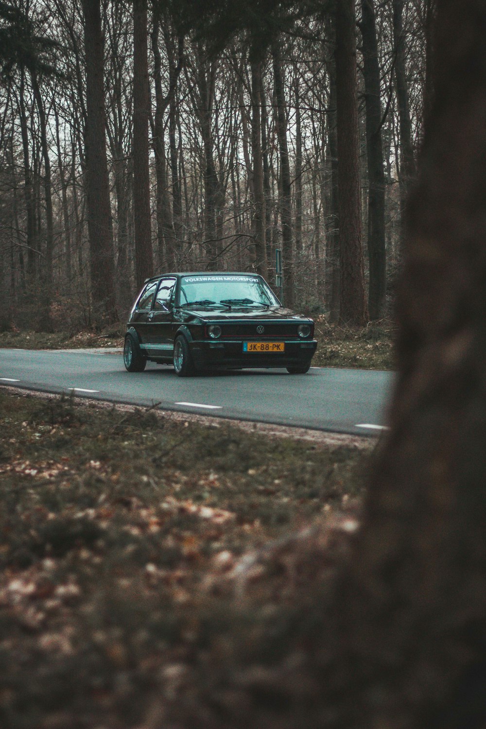 black car on road surrounded with trees