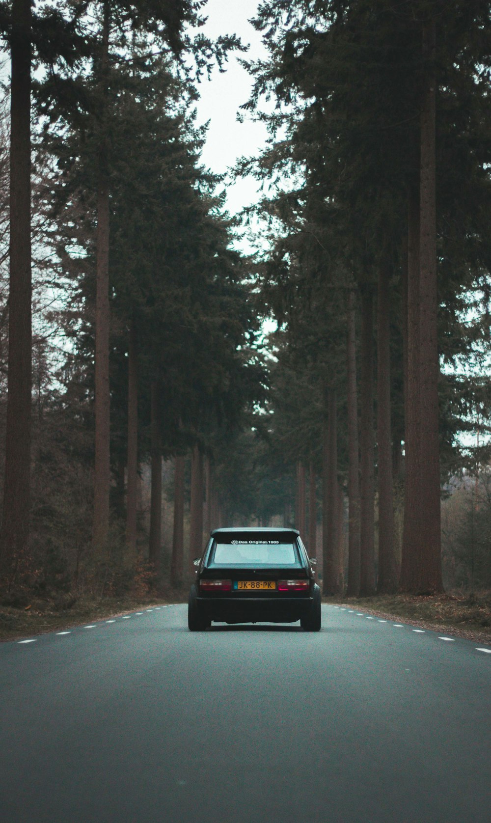 black 5-door hatchback driving in middle of road surrounded by trees during daytime