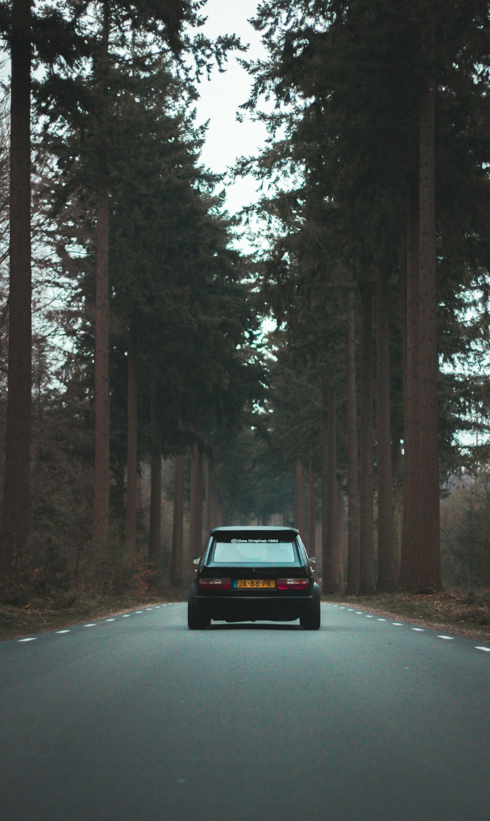 Hatchback negro de 5 puertas conduciendo en medio de la carretera rodeado de árboles durante el día