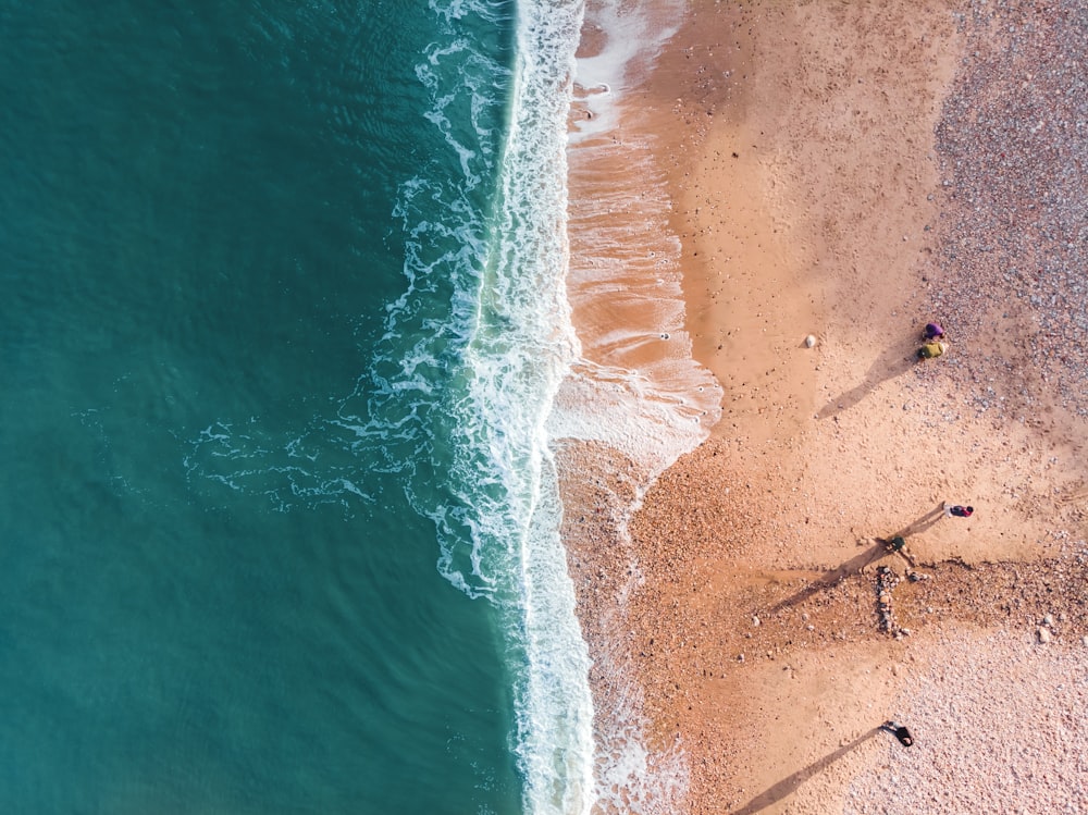 aerial view of people on beach
