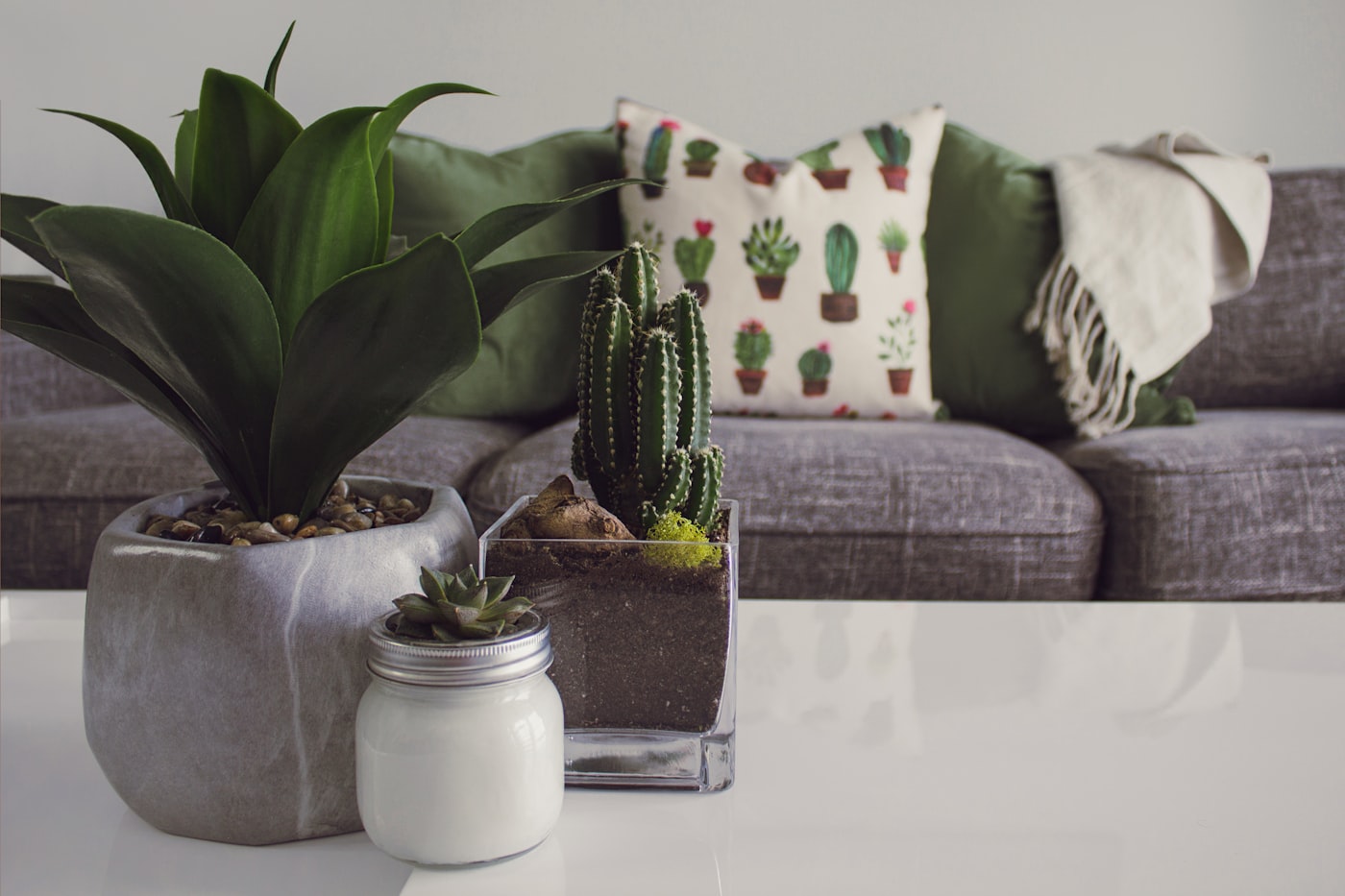 Estante com plantas pendentes e livros, composição em alturas diferentes