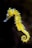 shallow focus photography of green seahorse