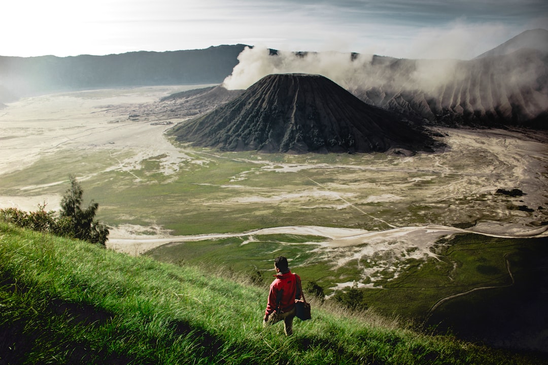 person standing on grass field near mountain