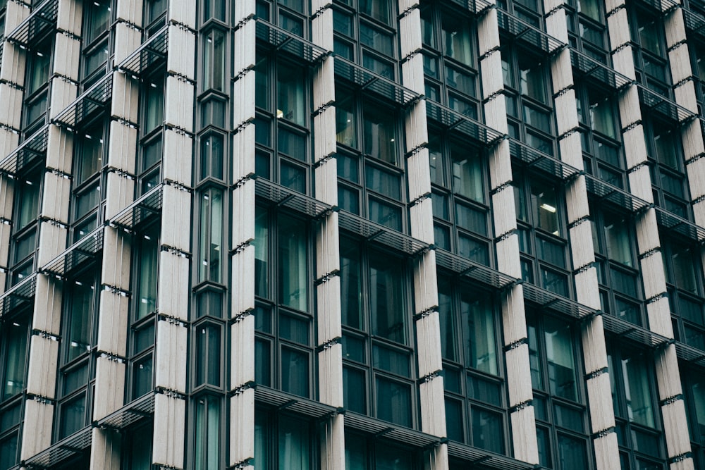 white and green building