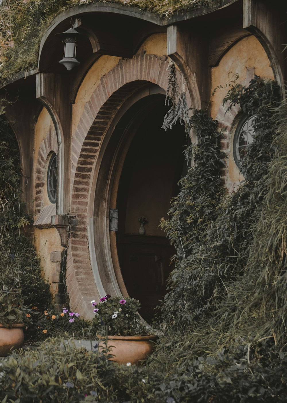 Arco de madera marrón con planta de hierba