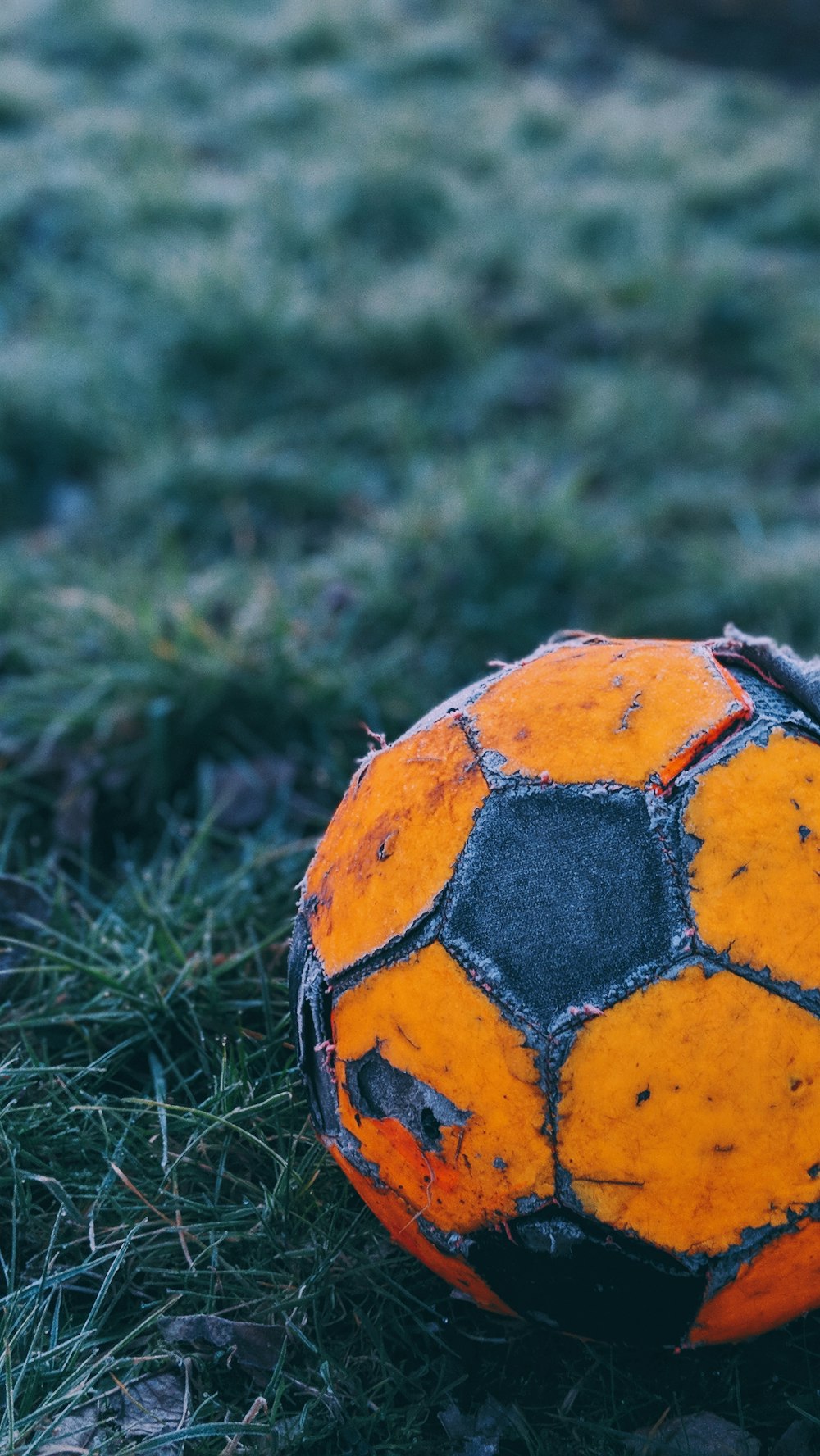 orange and black soccer ball on the field