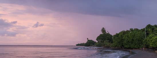 A serene coastal scene with purple and green hues reflecting the brand colors, showing ocean waves gently touching the shore under a lilac sky.