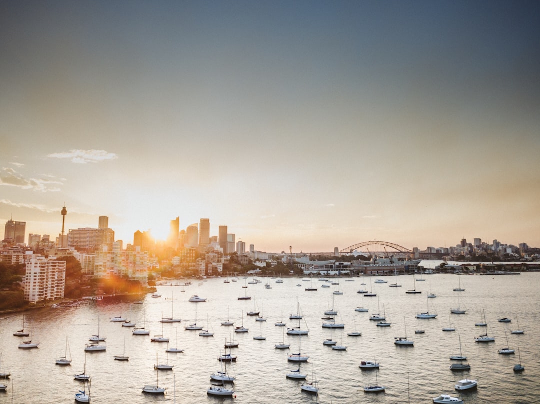 aerial view of white ships, Sydney Friday sunset