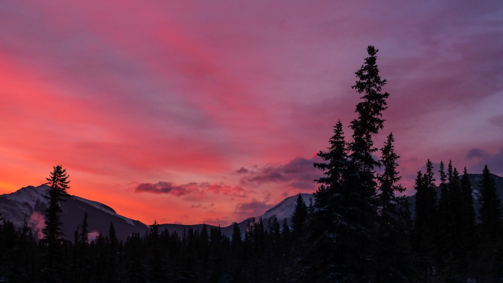 silhouette of trees background of mountain