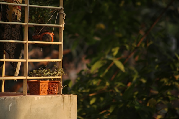 A cozy balcony corner featuring a mix of breathable ceramic and vintage rattan plant pots with lush greenery.
