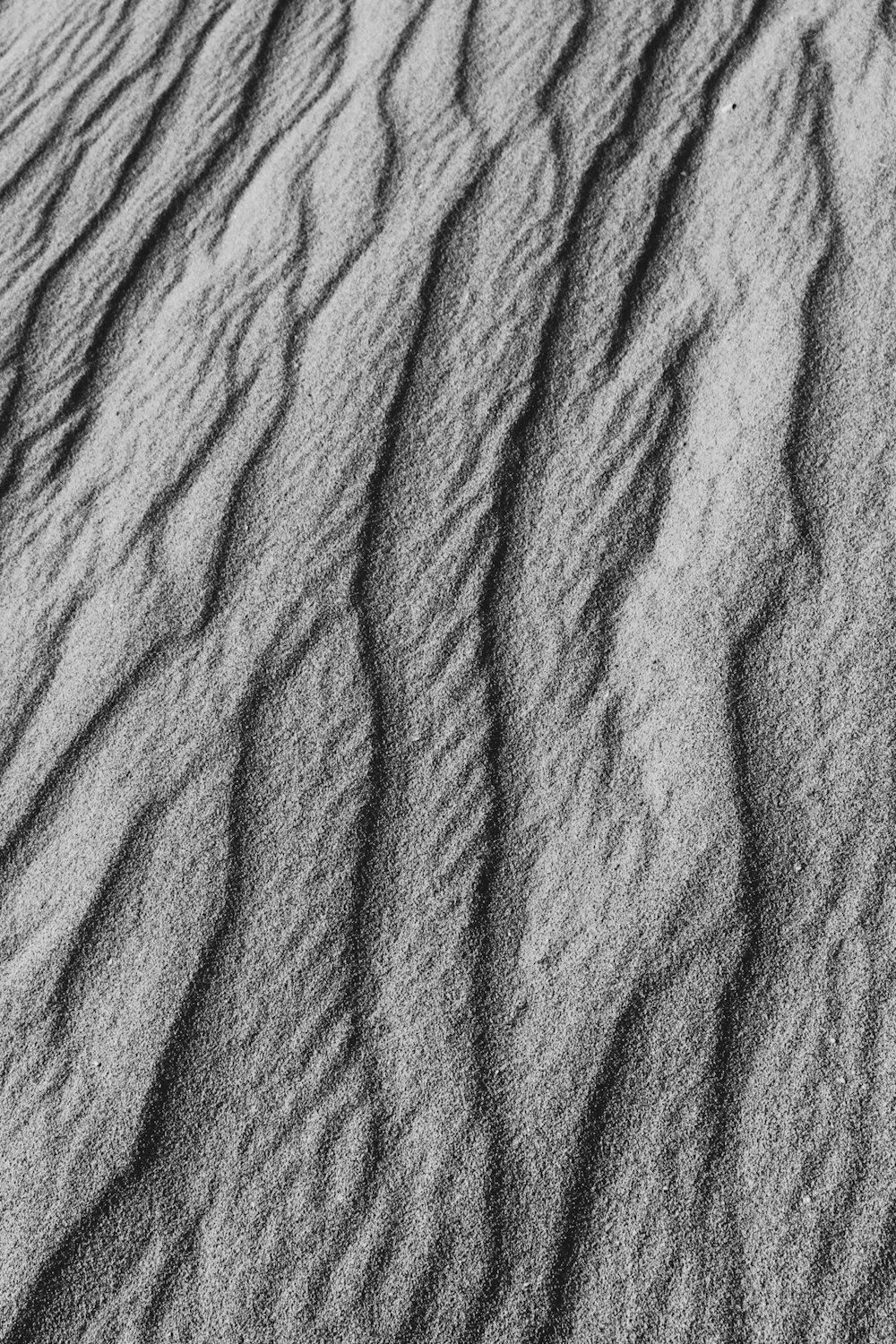 Una foto in bianco e nero di una duna di sabbia