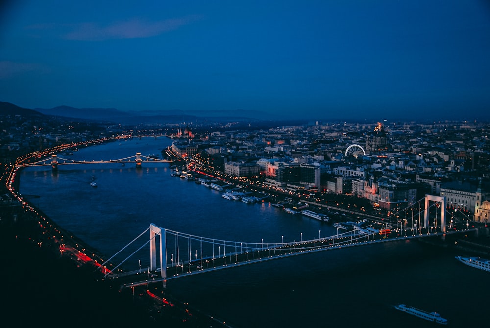 aerial photography of bridge