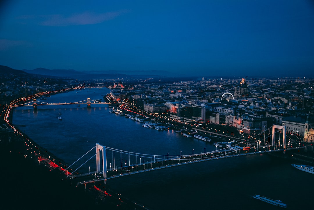 aerial photography of bridge,