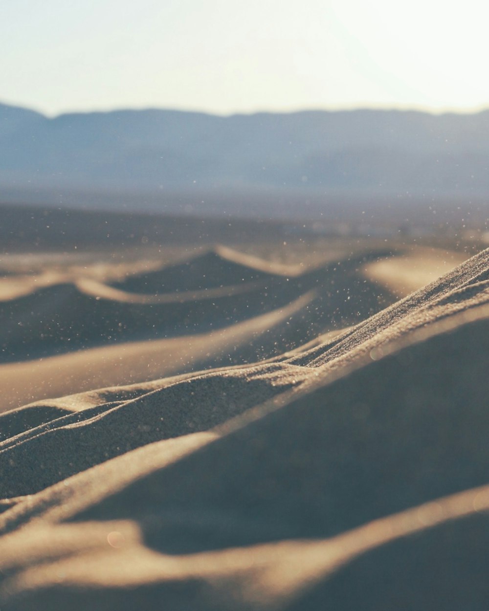 foto ravvicinata delle dune di sabbia durante il giorno