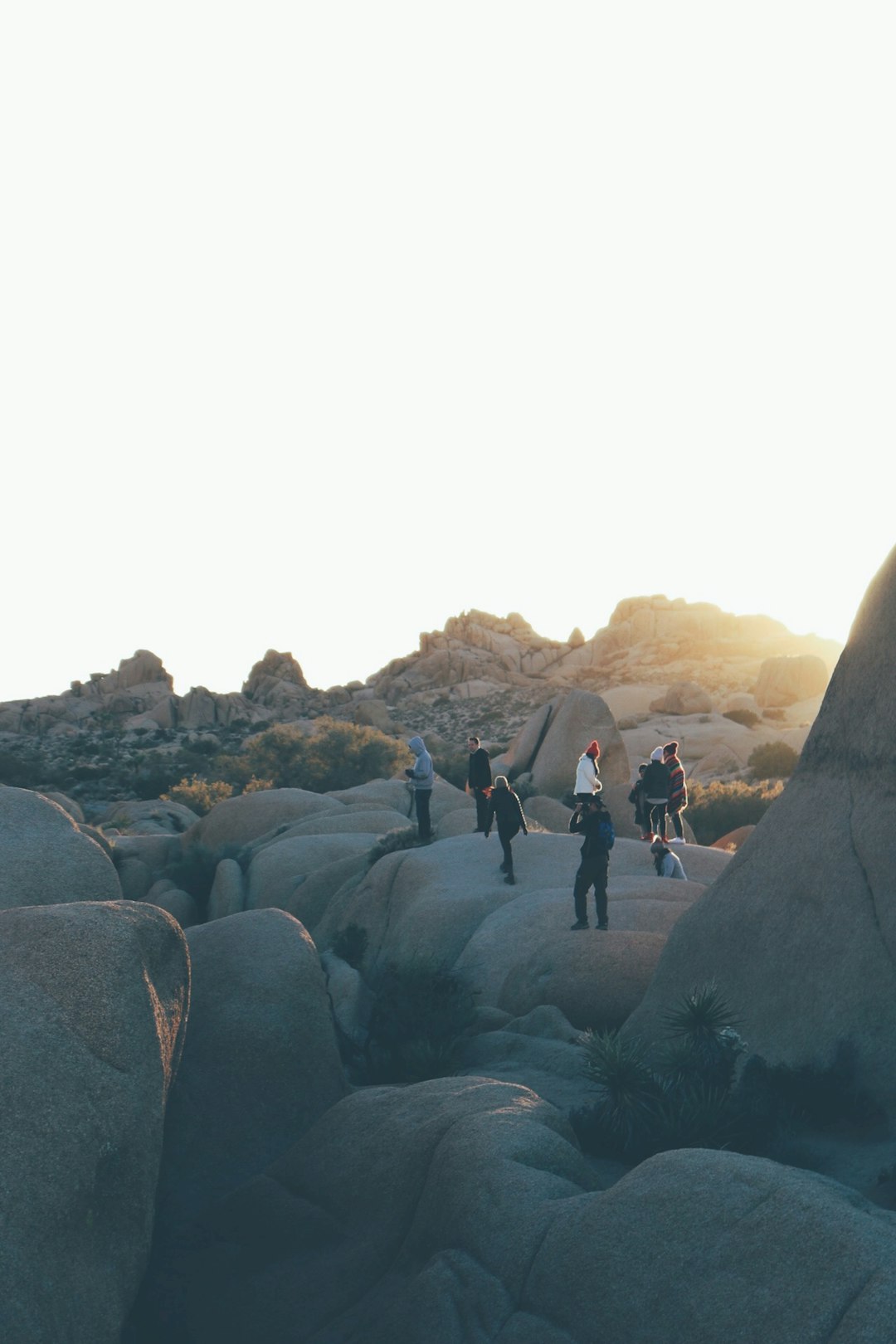 photo of Joshua Tree Badlands near North Joshua Tree BLM