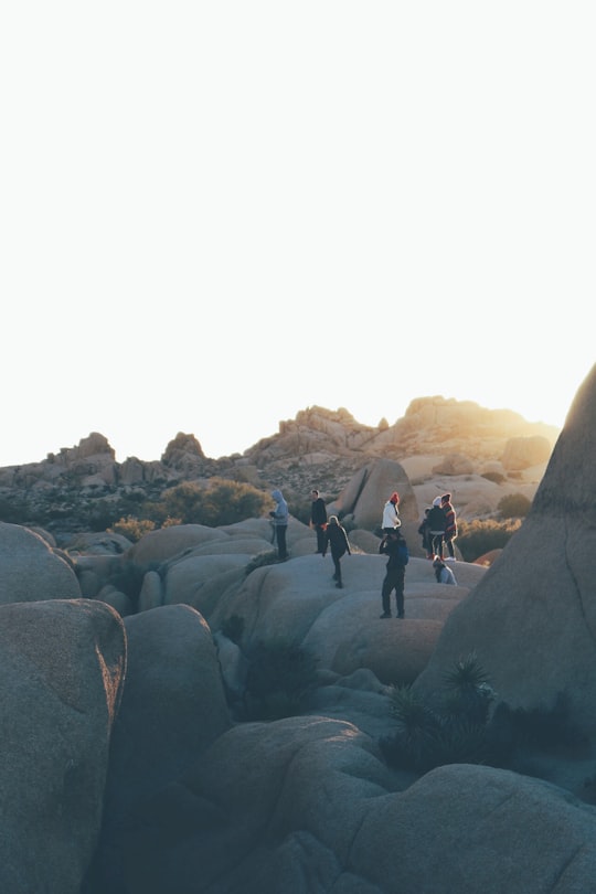 photo of Joshua Tree Badlands near Arch Rock