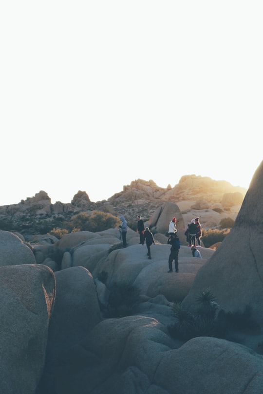 people standing on rock formations during daytime in Joshua Tree United States