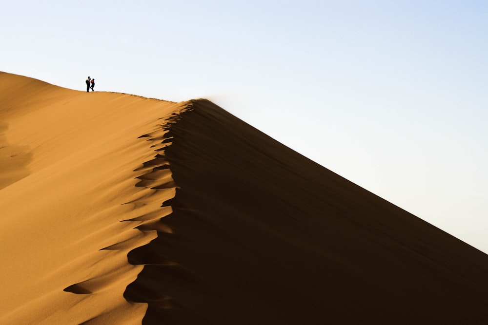 two persons standing on sand dunes