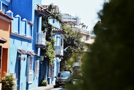 blue concrete house with green plants