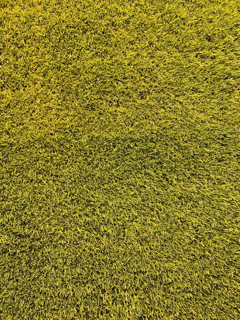 Bayer Roundup Settlement 2026: Who Qualifies, How to File, and the Supreme Court Twist That Changes Everything