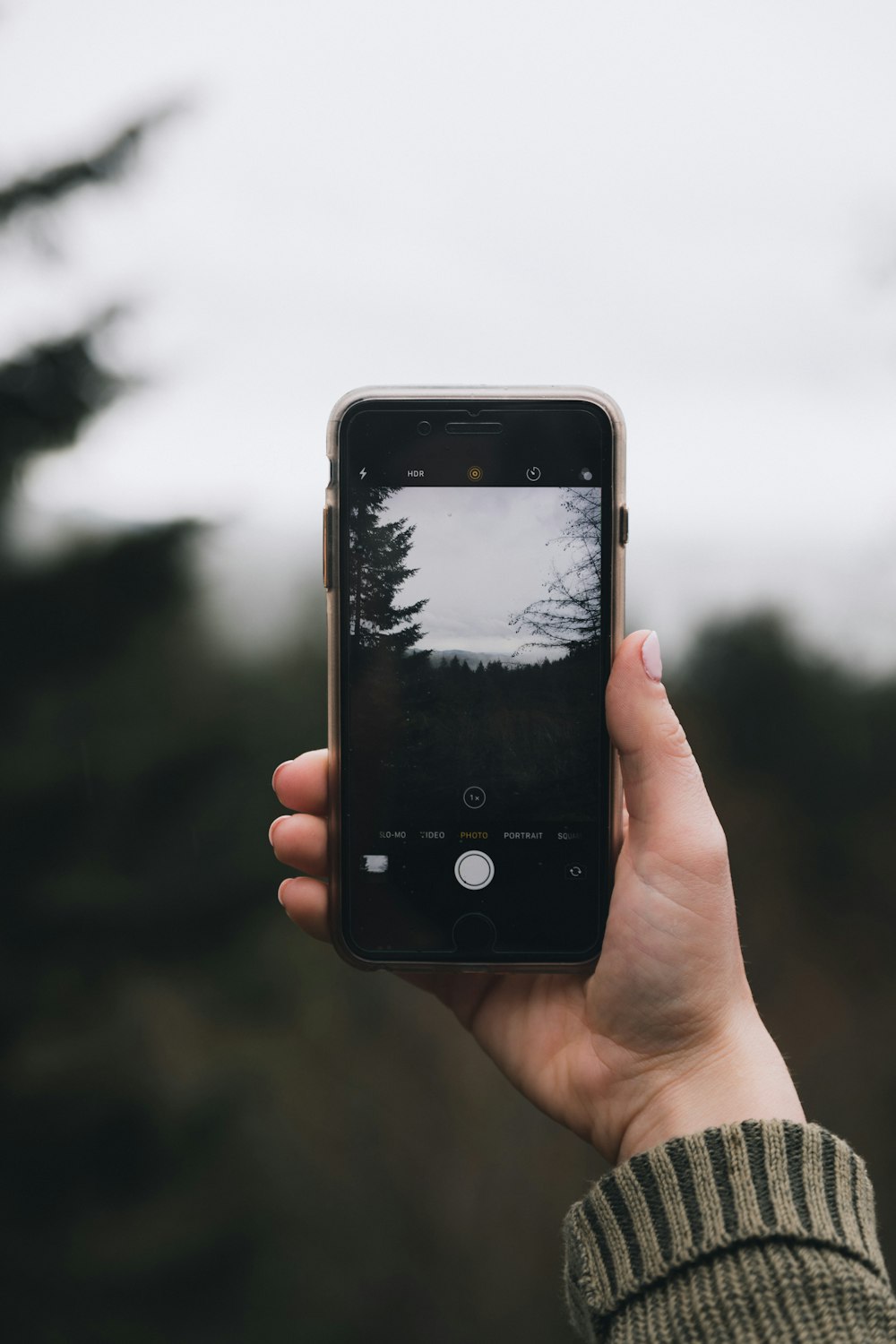 person holding space gray iPhone 6