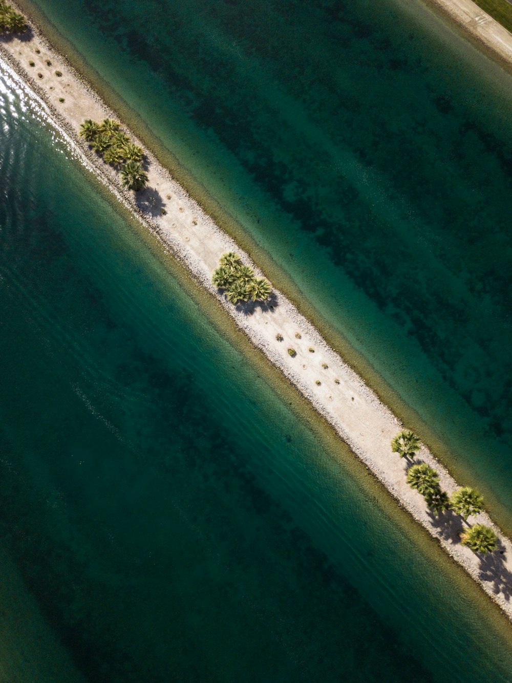 aerial view of body of water and green leafed trees