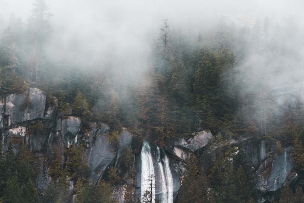 waterfalls beside green trees with cloudy sky