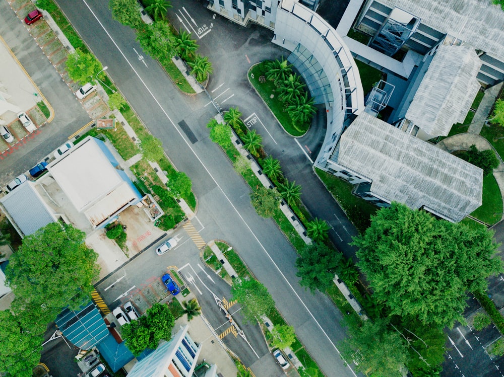 aerial photography of city buildings