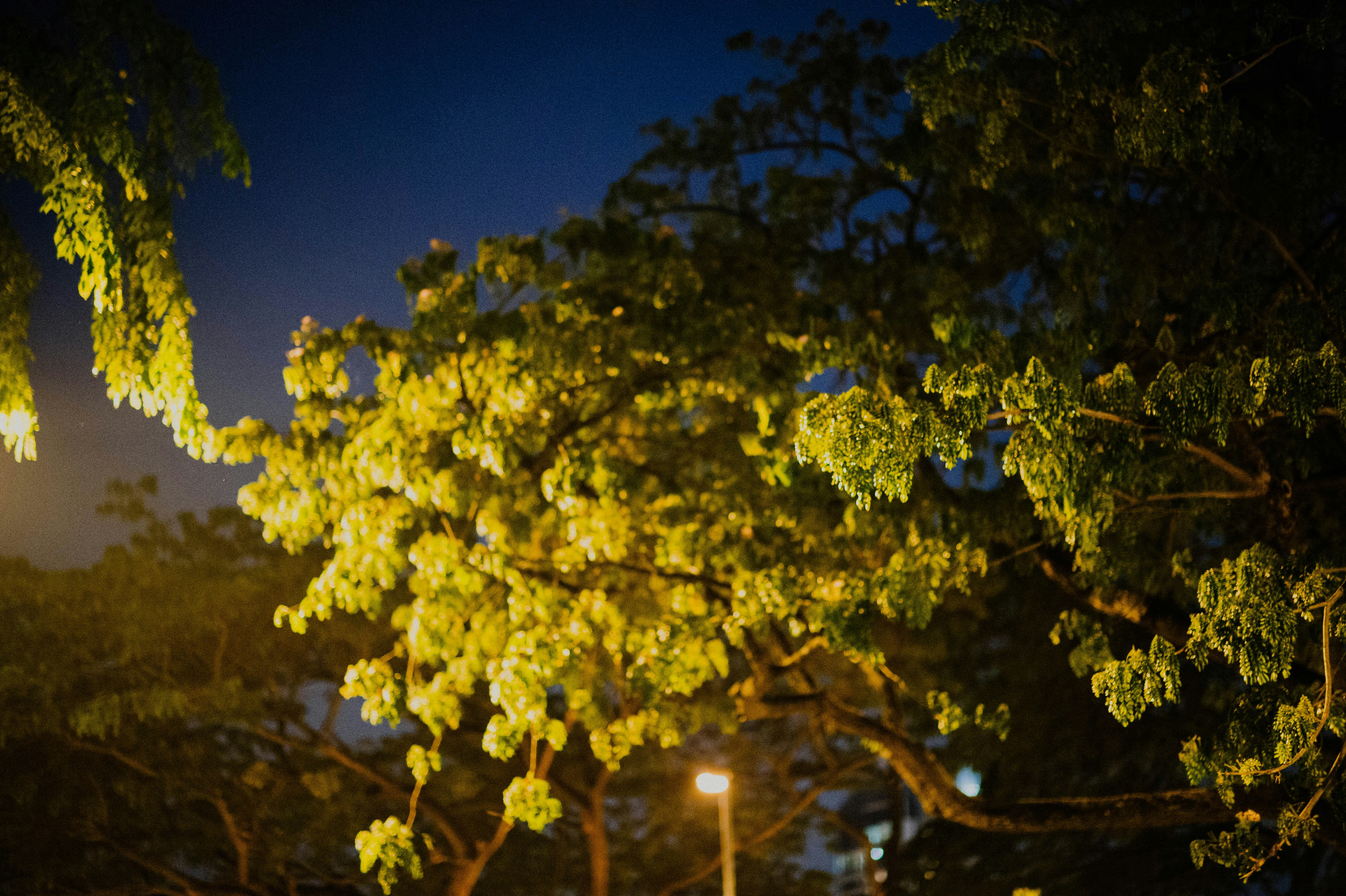 Photo by chuttersnap
