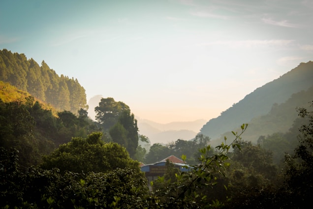 A picturesque landscape showcasing lush green hills and dense forests under a clear sky. A small house with a blue roof is partially visible among the trees, adding a touch of human presence to the natural setting. The light creates a serene and peaceful atmosphere with subtle shadows and highlights.