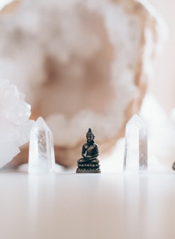 macro photography of black ceramic Gautama Buddha miniature