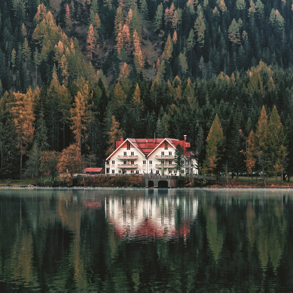 white and red house near lake