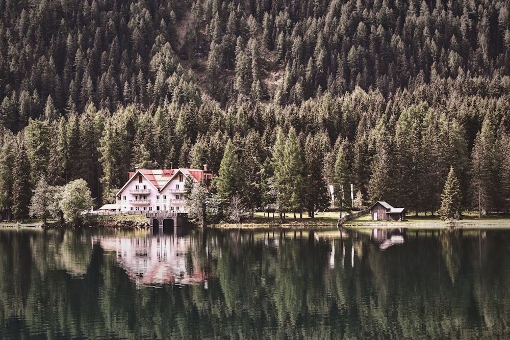 house near body of water and hill