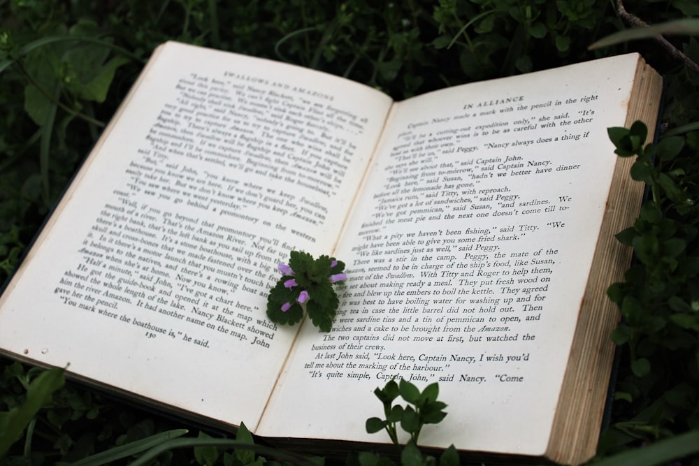 green leaf on book