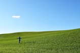 person walking on field of grass