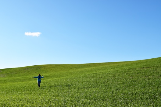 person walking on field of grass