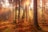 forest heat by sunbeam