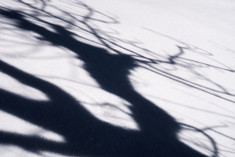 a shadow of a person riding a skateboard