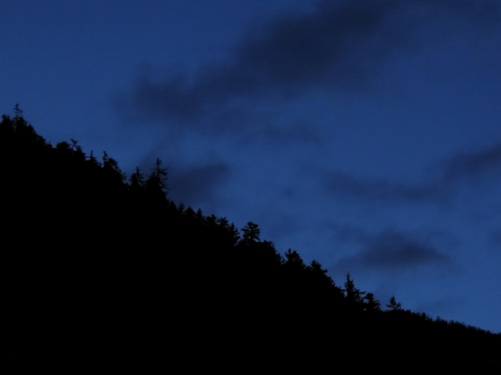 silhouette photo of trees on hill