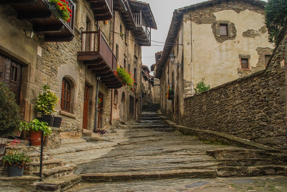 pathway between houses at daytime