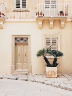 potter plant near concrete house