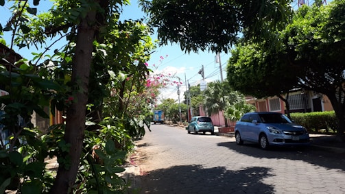 A cozy residential street lined with trees and well-maintained houses.