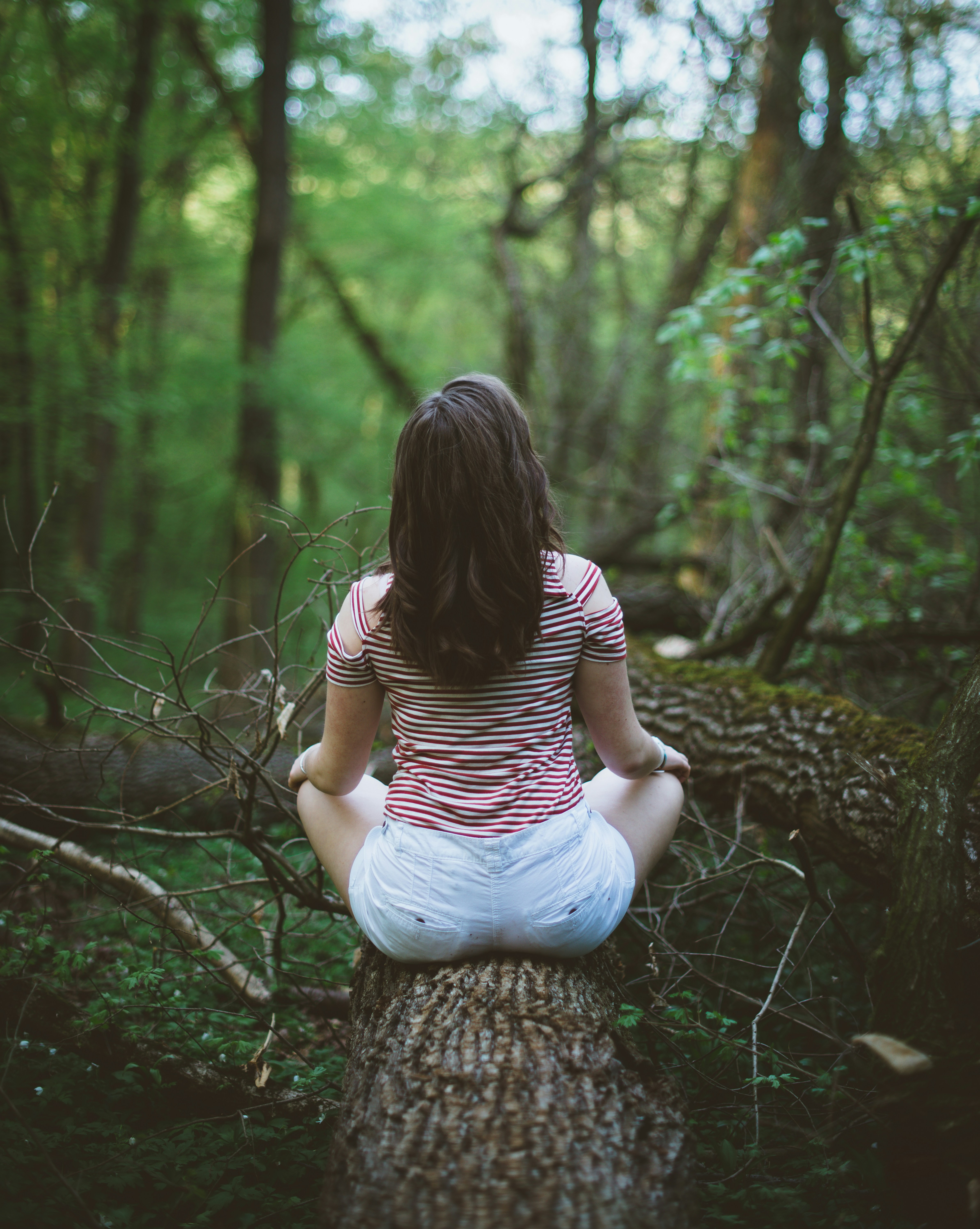 woman sitting on tree log