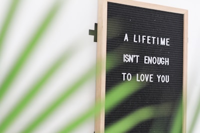 A black letter board with a wooden frame displays the message 'A lifetime isn't enough to love you' in white letters. In the foreground, out-of-focus green palm fronds partially obscure the right side of the board, adding a touch of nature to the scene.