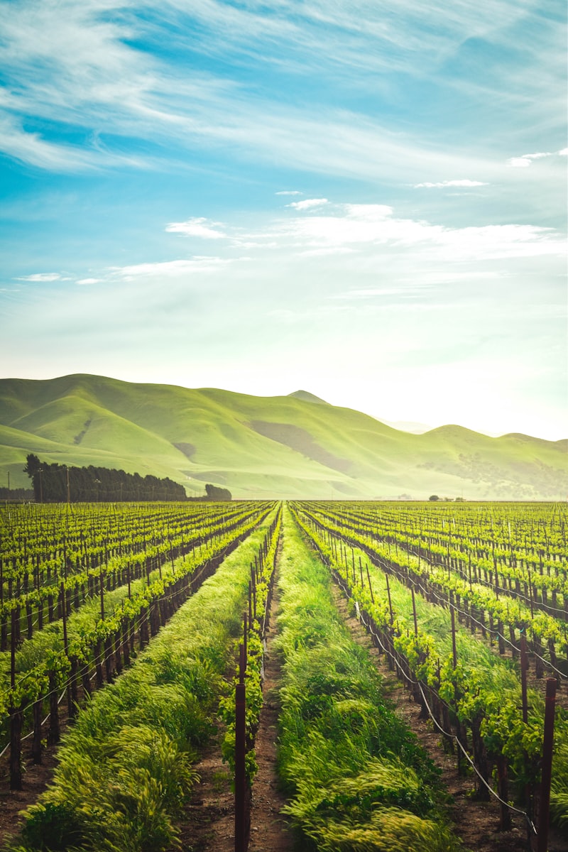 Sustainable Farming in Costa Rica
