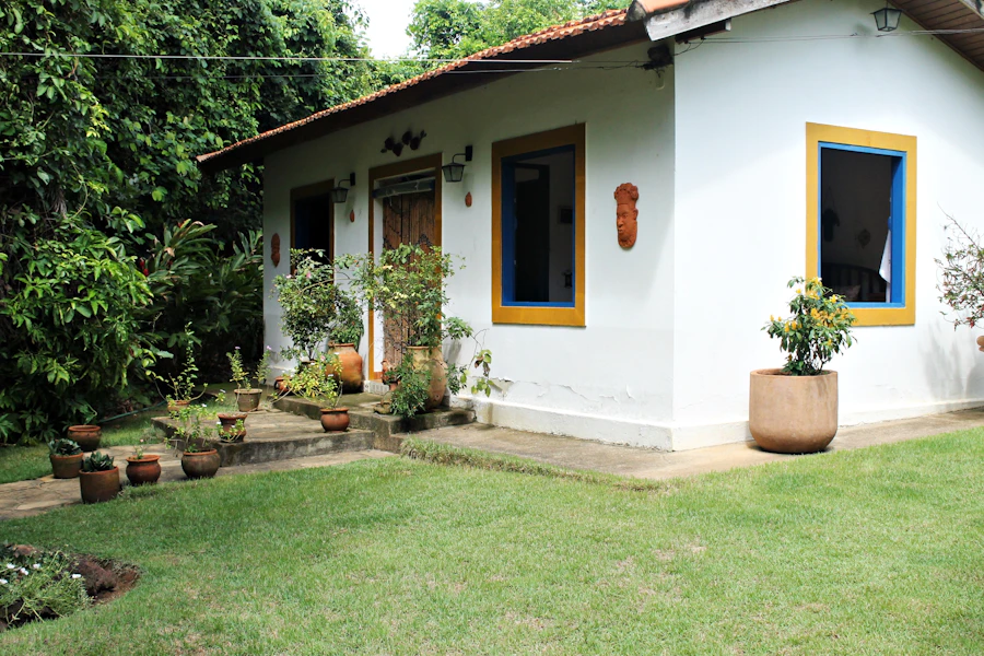 White house beside green trees