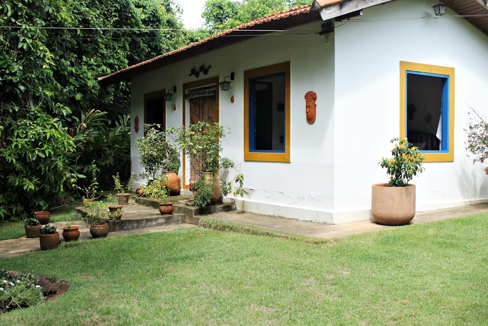 casa di cemento bianco accanto agli alberi dalle foglie verdi