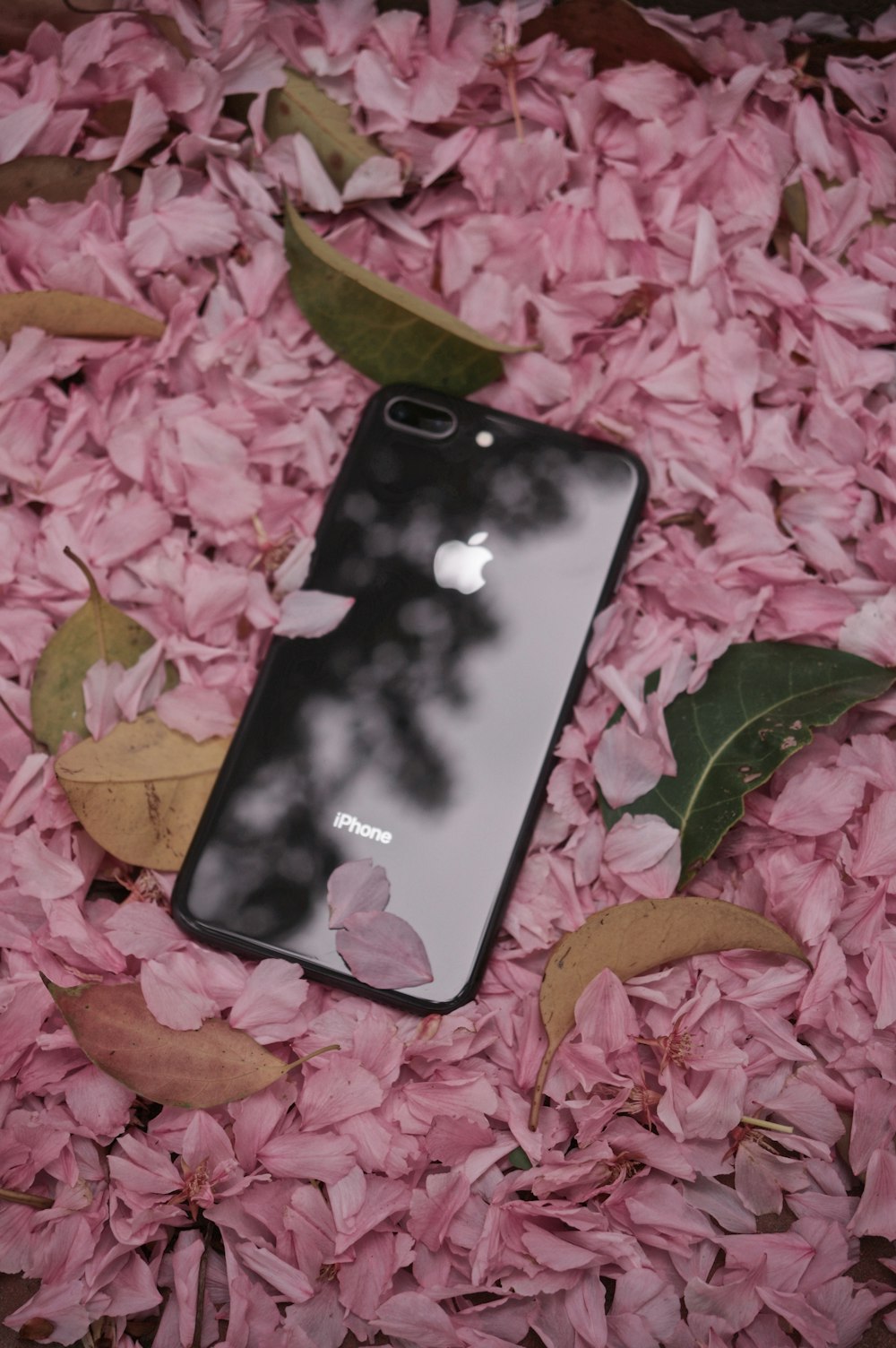ピンクと緑の葉にスペースグレイのiPhone 6