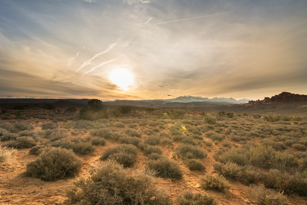 Ecoregion photo spot Arches National Park Moab